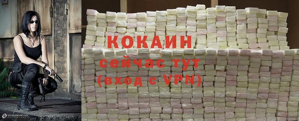 спиды Вязники